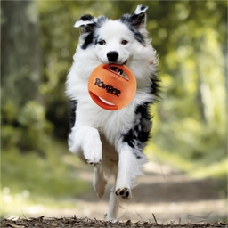 Ballon avec sifflet Moyen ou Grand modèle
