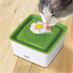 Mini fontaine fleur