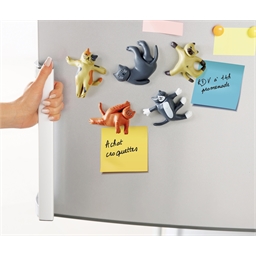 Set magnets chats yoga