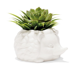 Pot à plante hérisson