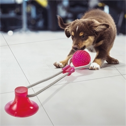 Jouet corde avec ventouse pour chien