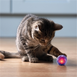 Balle lumineuse pour chat