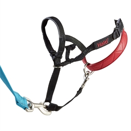 Collier d'éducation Halti® Taille 1 ou Taille 2