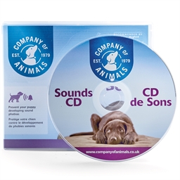 CD "Bruits de tous les jours"