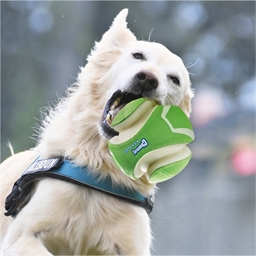 Balle phosphorescente pour chien