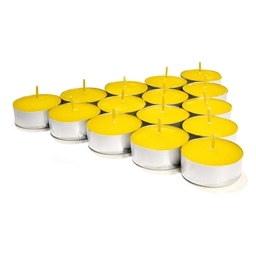 Lot de 24 bougies citronnelle