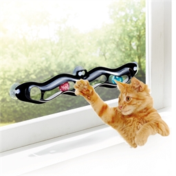 Circuit de jeu fenêtre pour chat