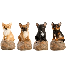 Chiot ou chatons d'accueil