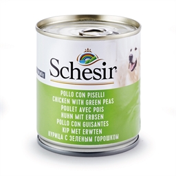 Pâtée en gelée pour chien: divers gouts