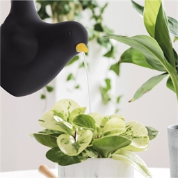 Arrosoir oiseau