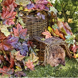 Panier pour hérissons
