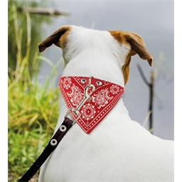 Collier bandana rouge ou bleu