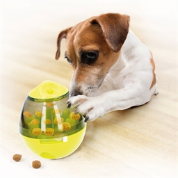 Jeu balle à croquettes et balle goût bœuf pour chien