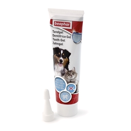 Dentifrice gel haleine fraîche