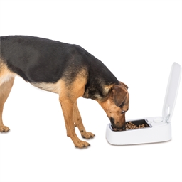 Distributeur de croquettes 1 repas