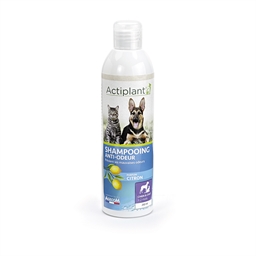 Shampoing Actiplant Anti-odeurs