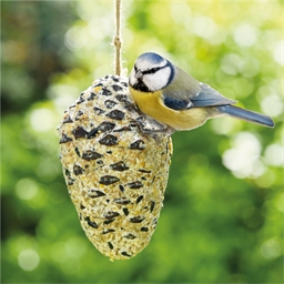 Abreuvoirs & Mangeoires pour oiseaux - Petits Compagnons