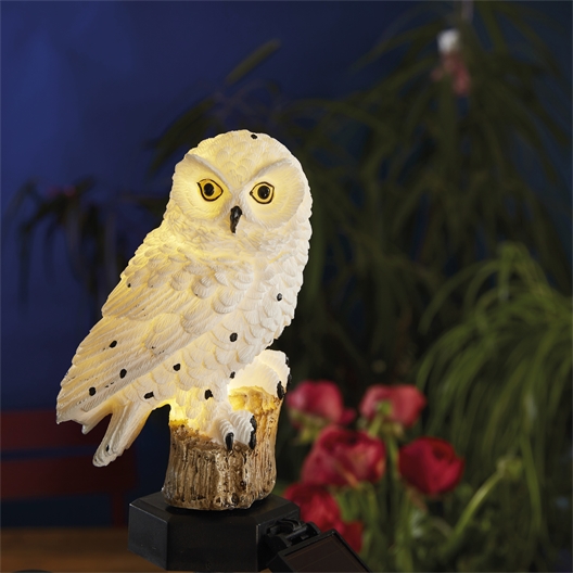 Chouette lumineuse solaire