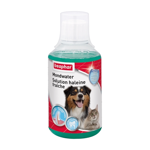 Solution haleine fraîche Beaphar® chien/chat 250 ml
