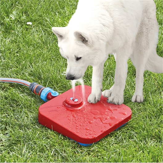 Fontaine de jardin pour chiens