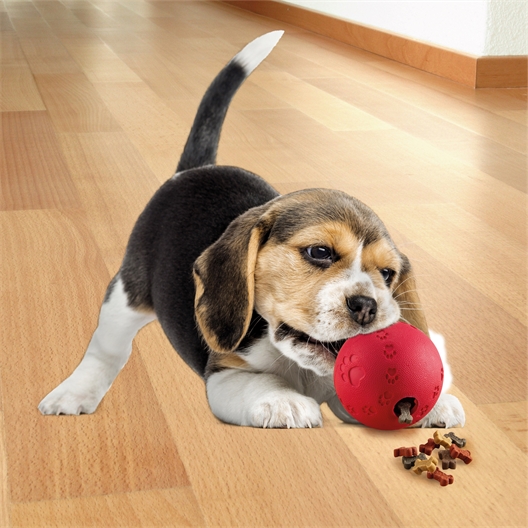 Jouet balle friandises pour chien