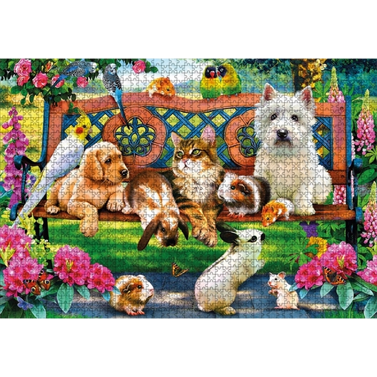Puzzle 1000 pièces