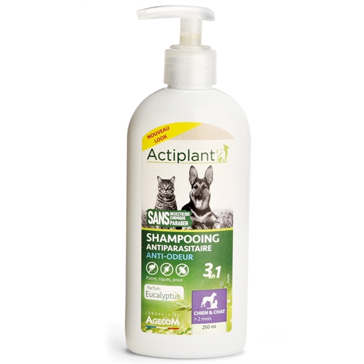 Shampoing anti-puce pour chat maison