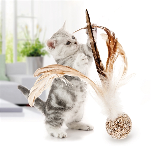 Balle matatabi et plumes pour chat