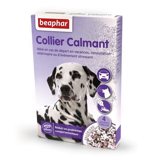 Collier calmant valériane pour chien