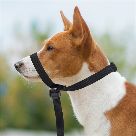 Laisse poignée confort noire