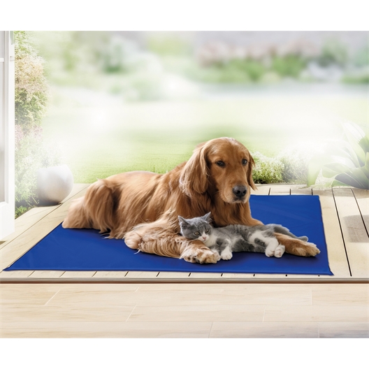 Tapis rafraîchissant 60 x 90 cm