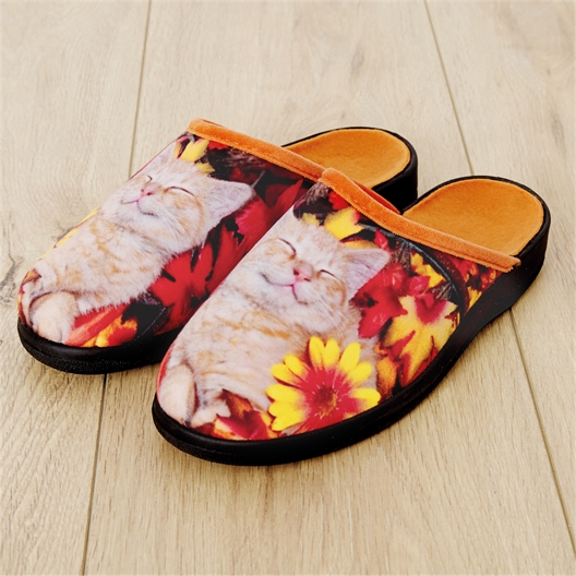 Mules chat Filou