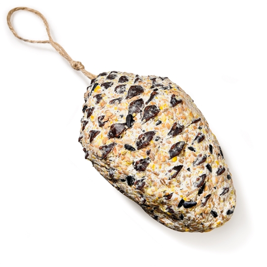 Nourriture oiseaux pomme de pin géante
