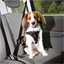 Harnais confort pour chien M