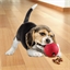 Jouet balle friandises pour chien