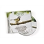 CD Chants d'oiseaux