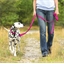 Laisse ou collier chien: divers coloris au choix