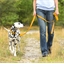 Laisse ou collier chien