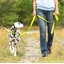 Laisse ou collier chien: divers coloris au choix