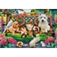 Puzzle 1000 pièces