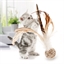 Balle matatabi et plumes pour chat