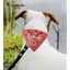 Collier bandana rouge ou bleu